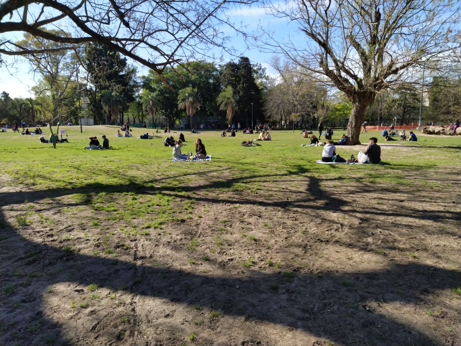 Parque Saavedra primavera