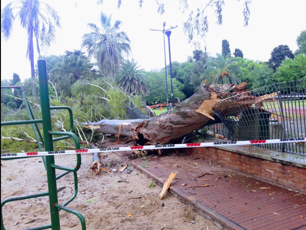 Una gran rama cayó sobre uno de los patios de juegos del Parque Saavedra cerca de un padre y su pequeña hija
